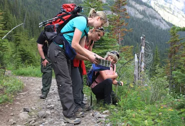 Geführte Tageswanderung wandern mit Timberwolf Tours